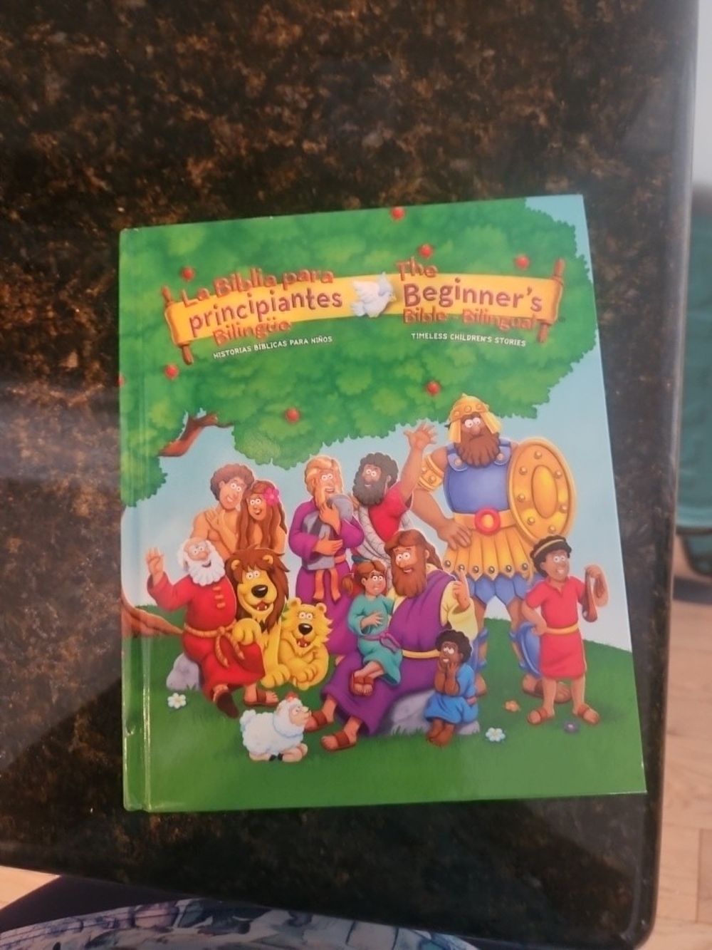 The Beginner's Bible Bilingual Kids Book - Green Cover
